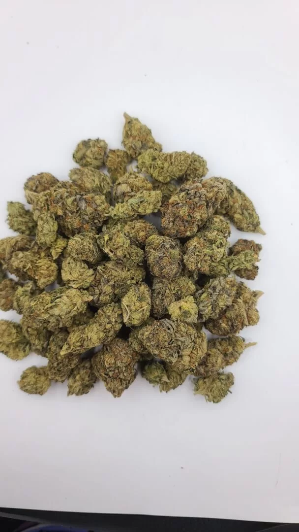 Sky High Exotics