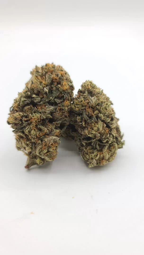 Sky High Exotics