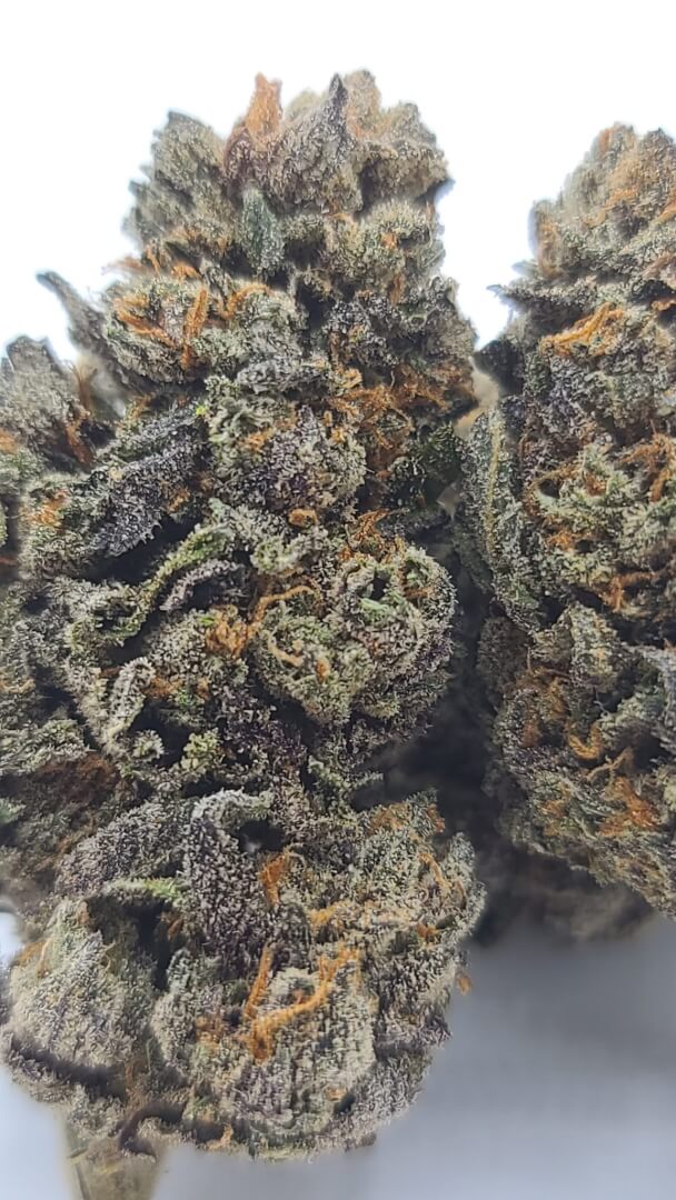 Sky High Exotics