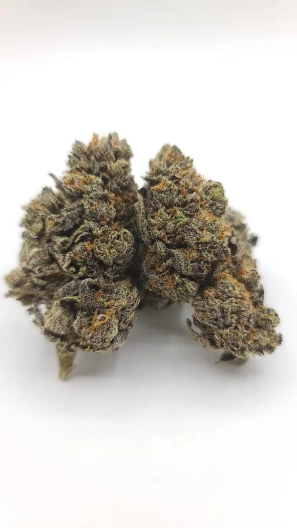 Sky High Exotics