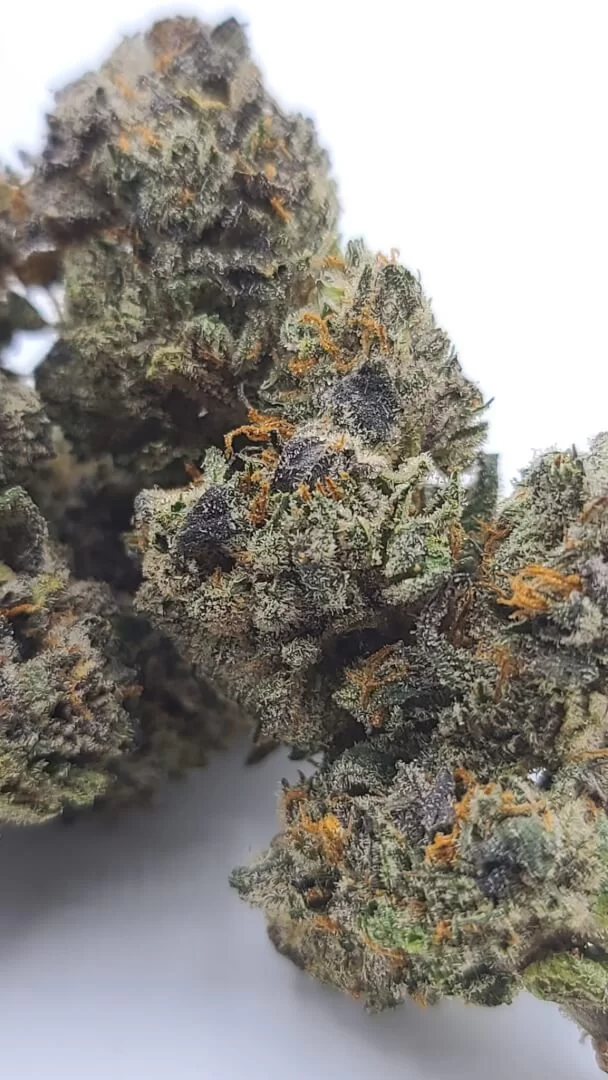 Sky High Exotics