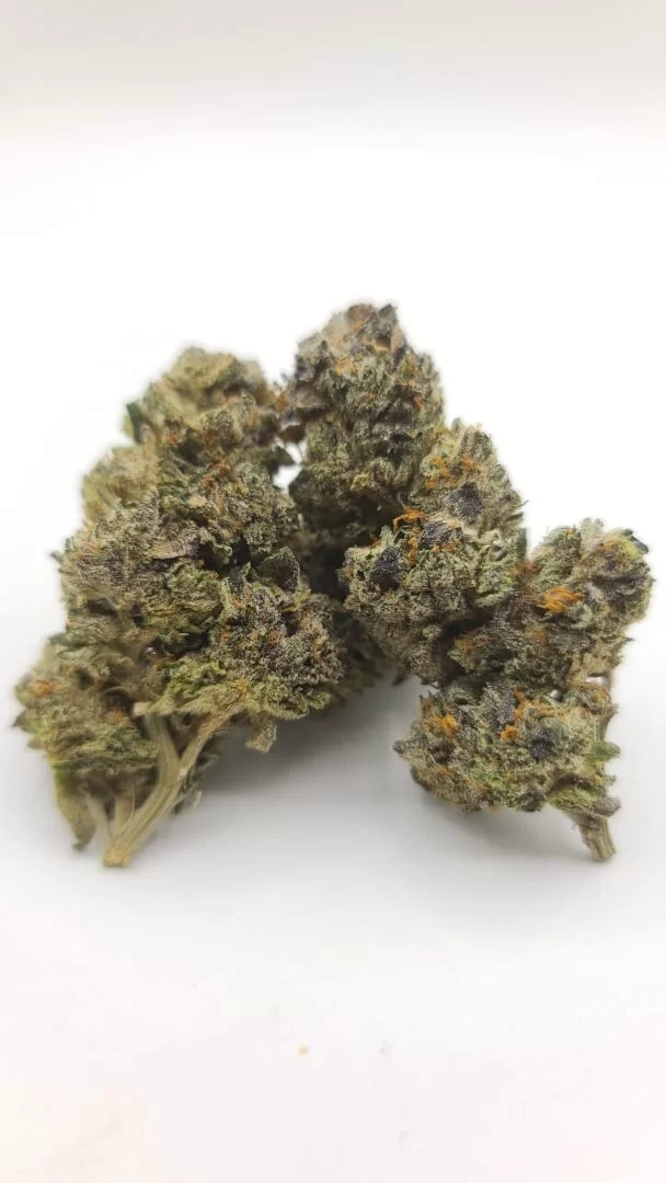 Sky High Exotics
