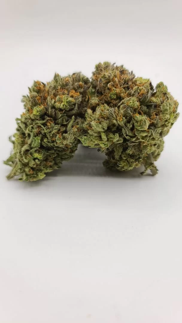 Sky High Exotics
