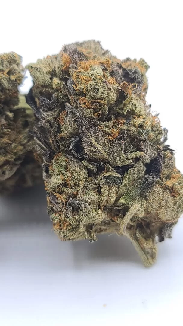 Sky High Exotics