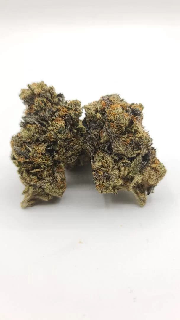 Sky High Exotics