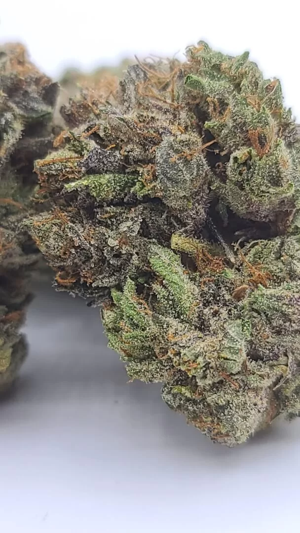 Sky High Exotics