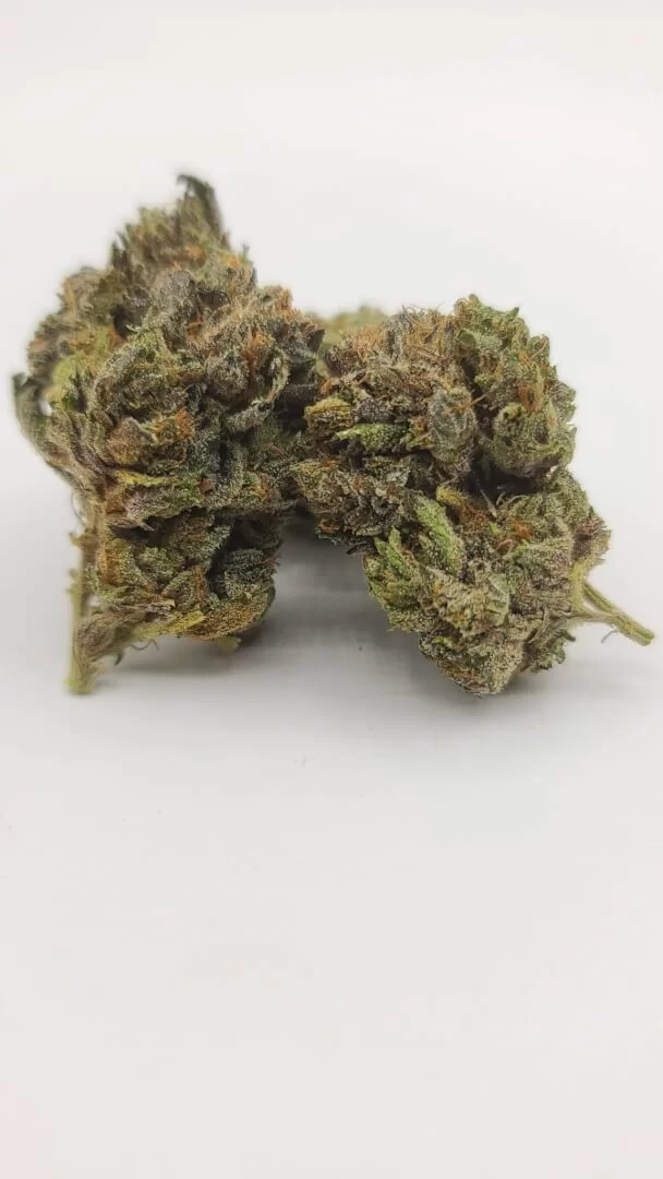 Sky High Exotics