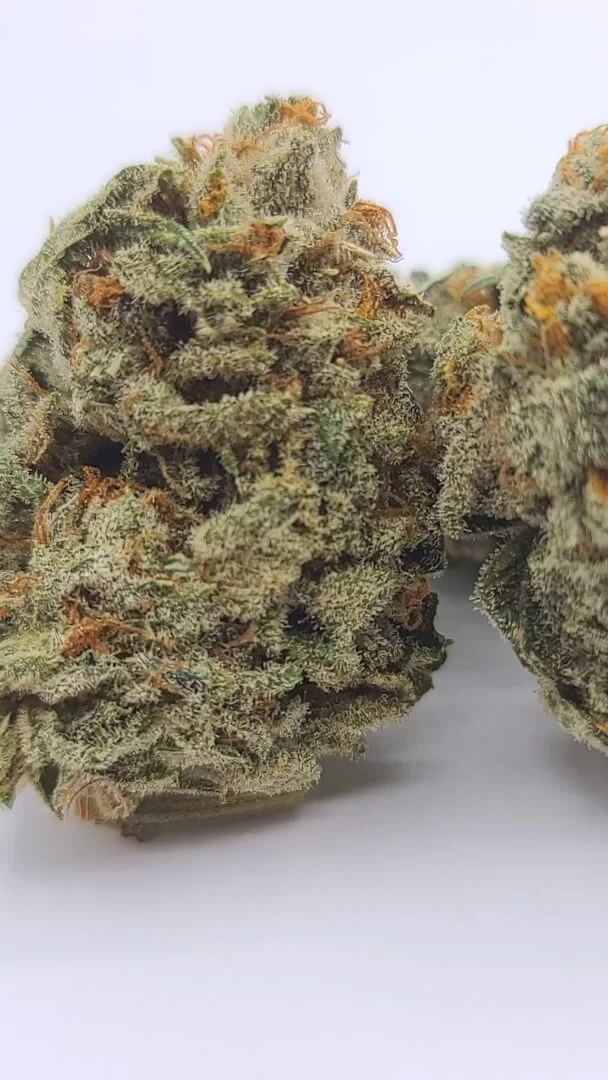 Sky High Exotics