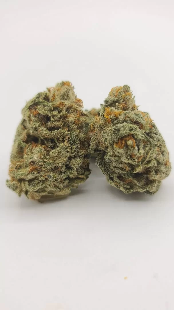 Sky High Exotics