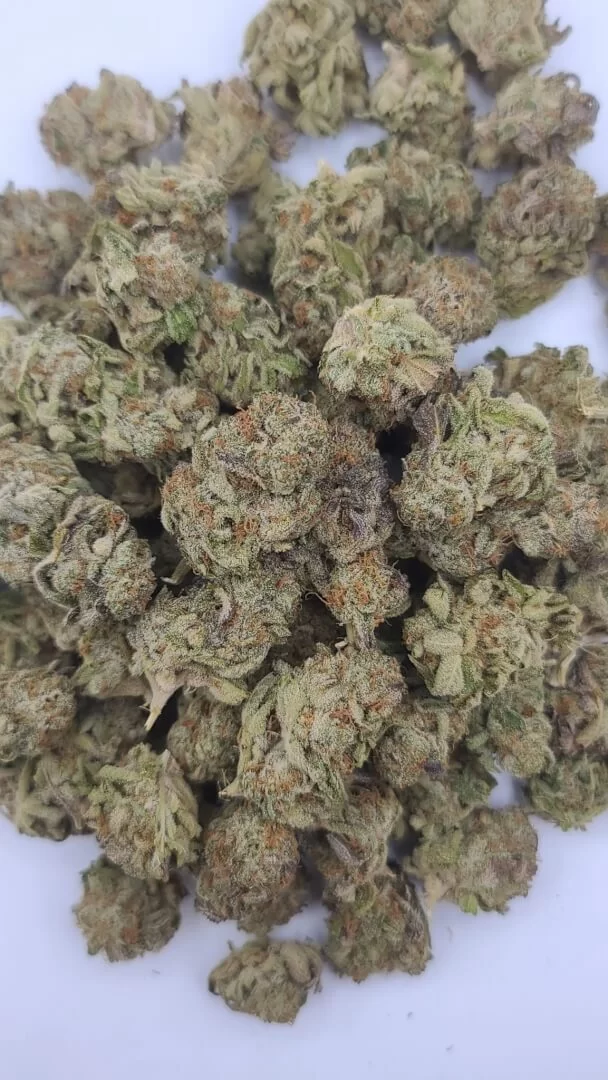 Sky High Exotics