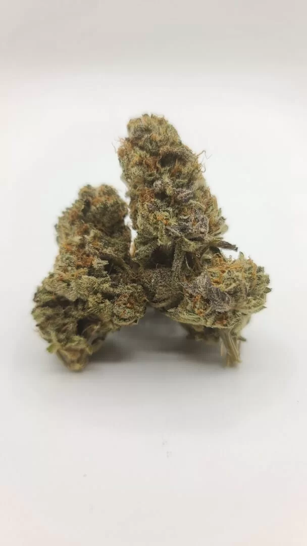 Sky High Exotics