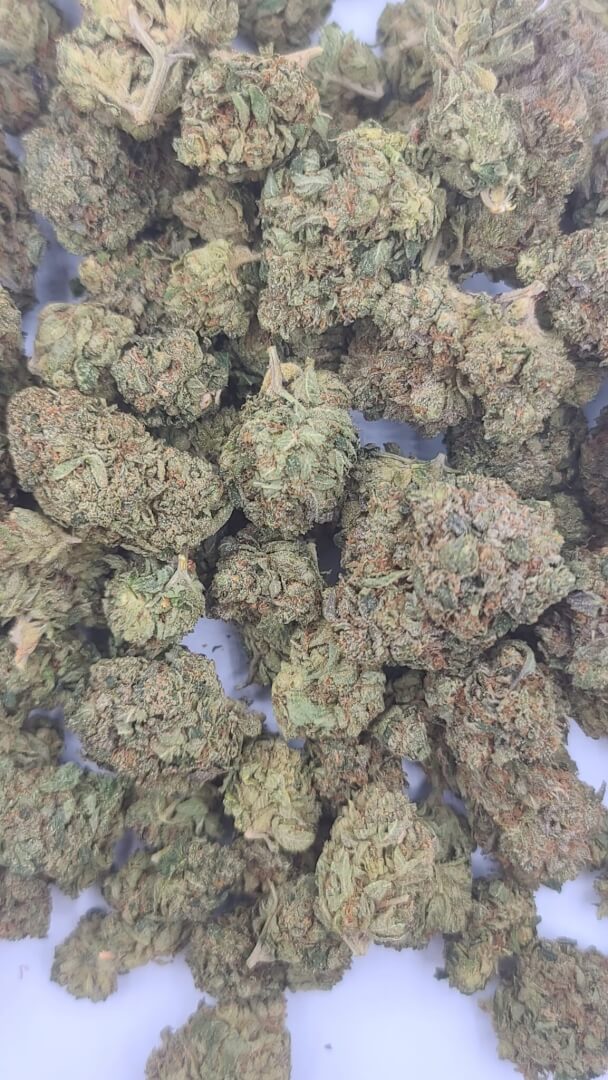 Sky High Exotics
