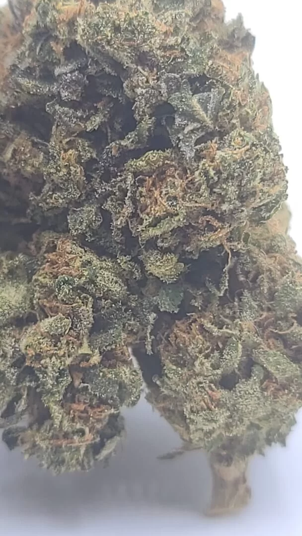 Sky High Exotics
