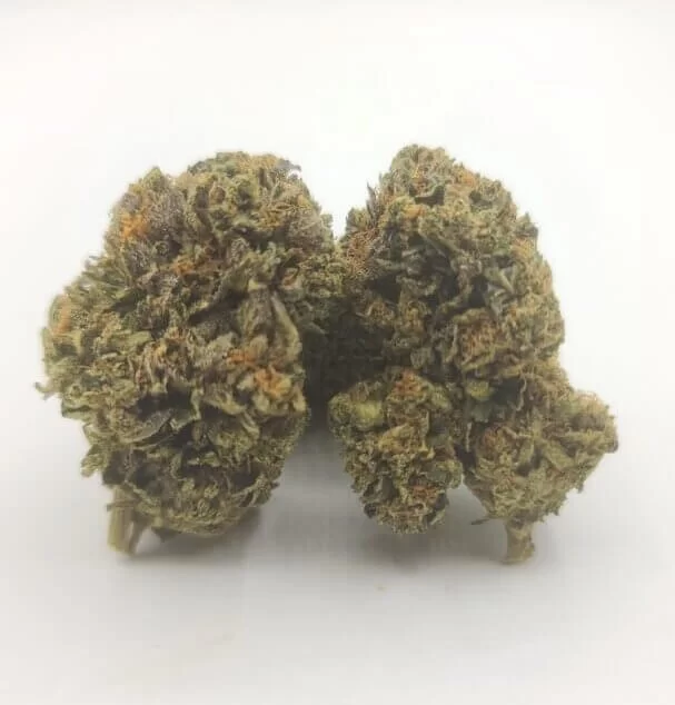 Sky High Exotics