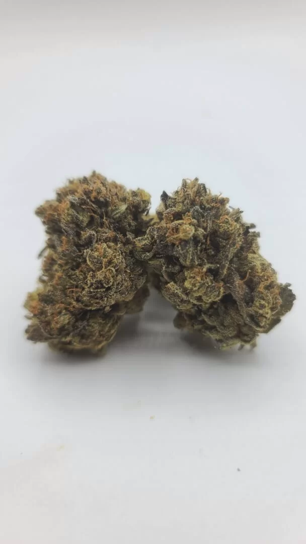 Sky High Exotics