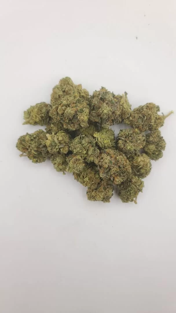 Sky High Exotics