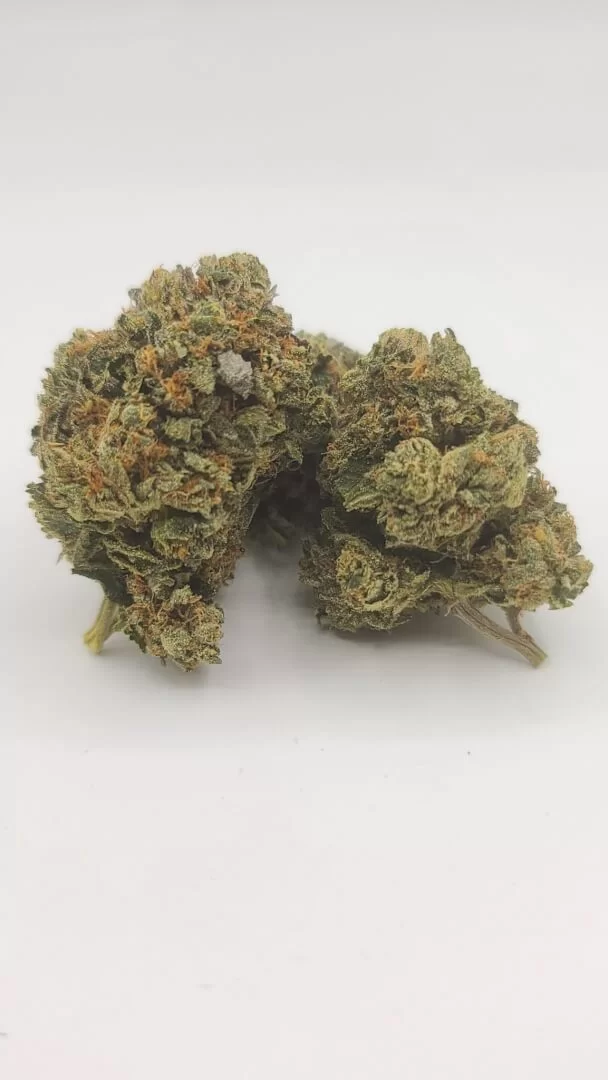 Sky High Exotics
