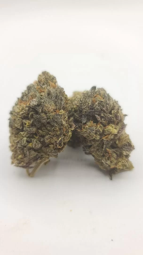 Sky High Exotics
