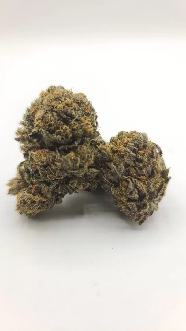Sky High Exotics
