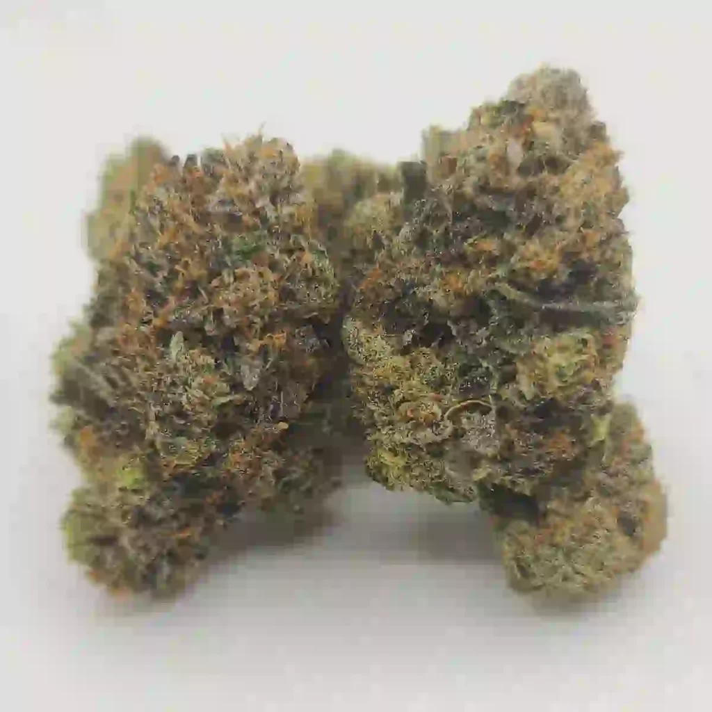 Sky High Exotics