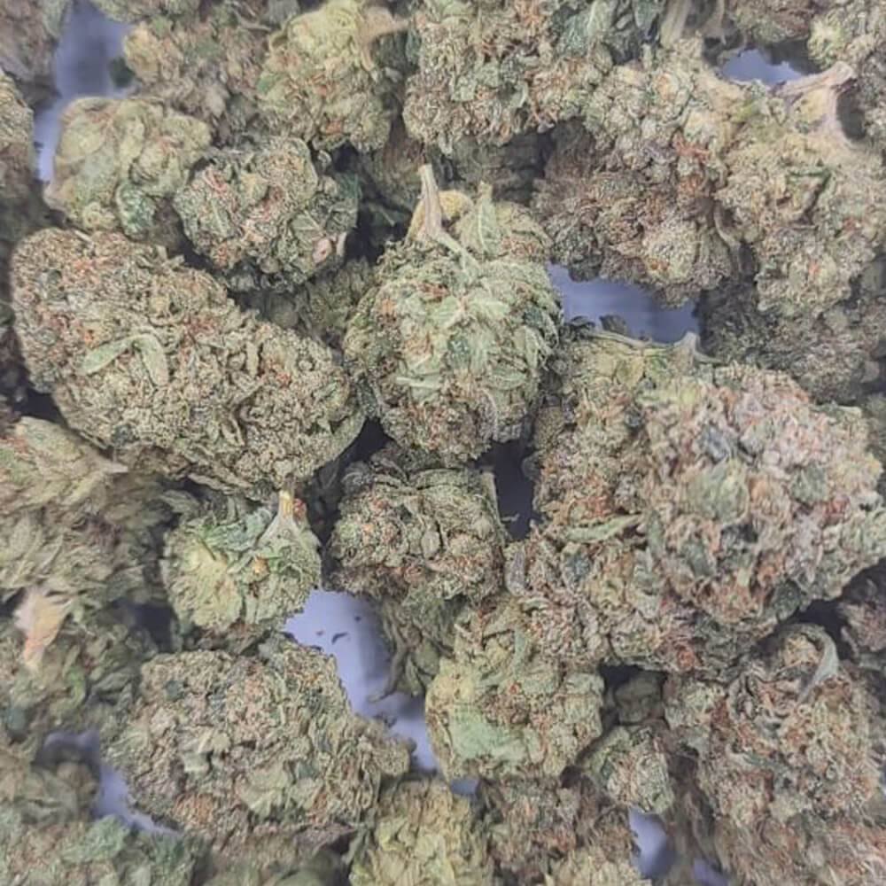 Sky High Exotics
