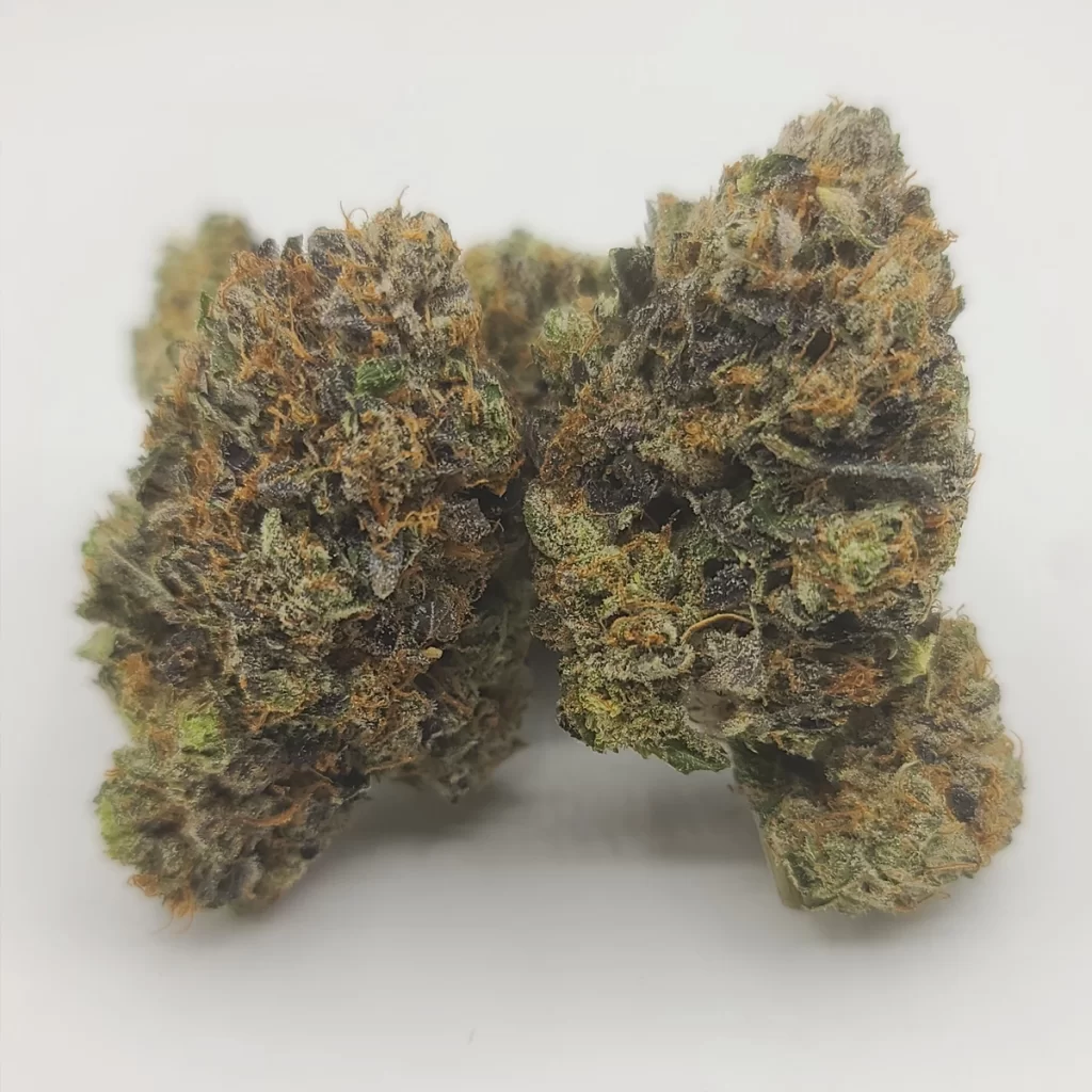 Sky High Exotics