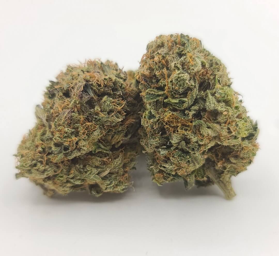 Sky High Exotics