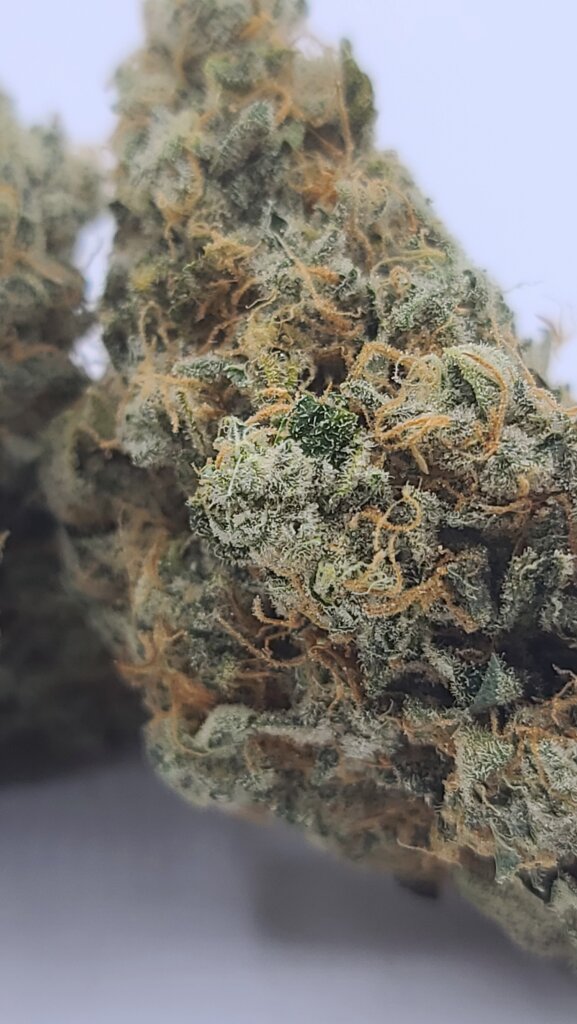 Sky High Exotics