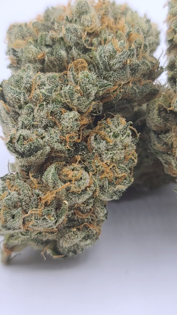 Sky High Exotics