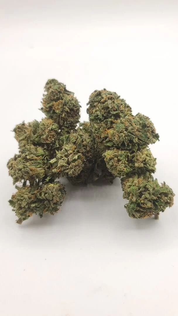 Sky High Exotics