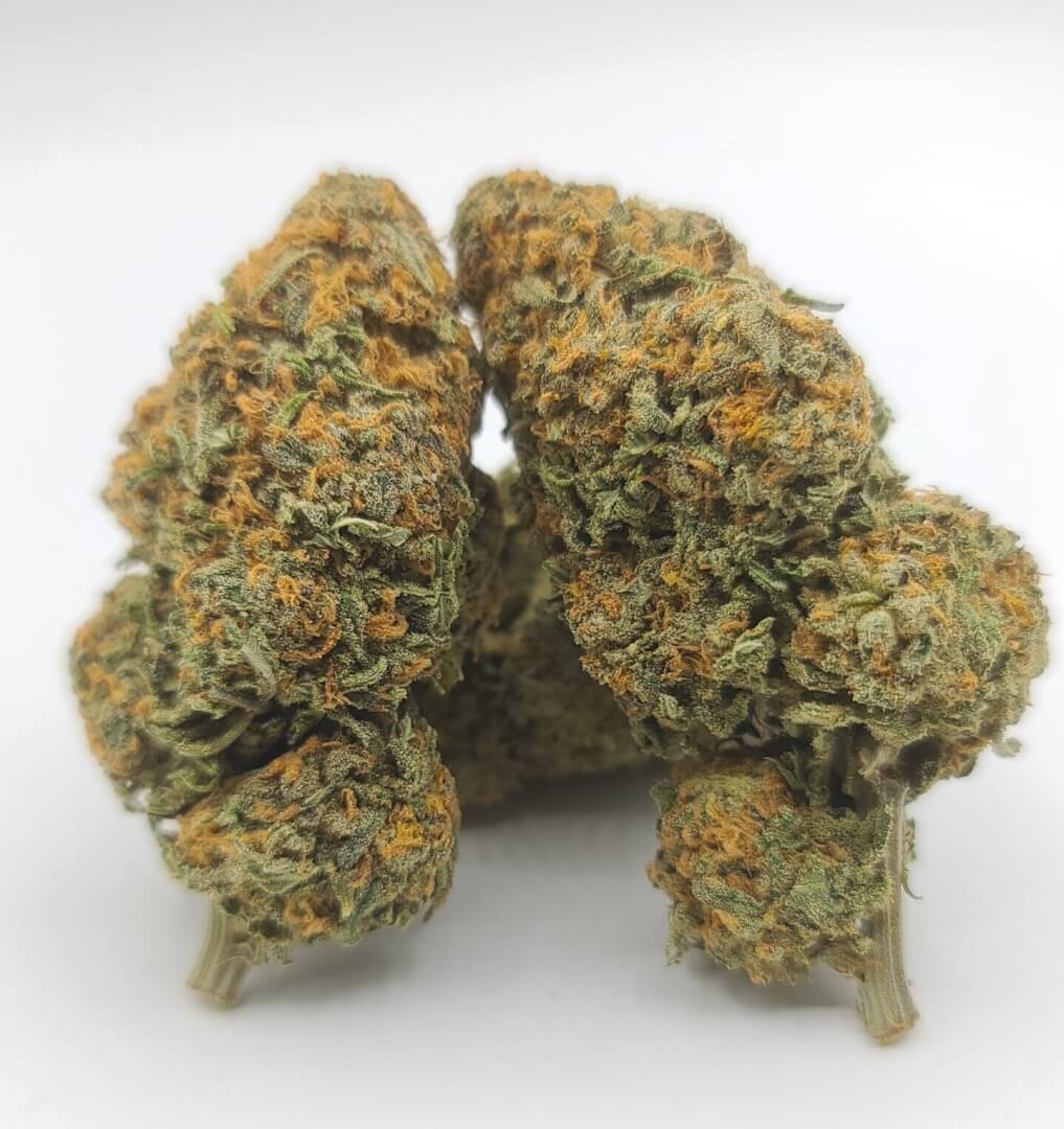 Sky High Exotics