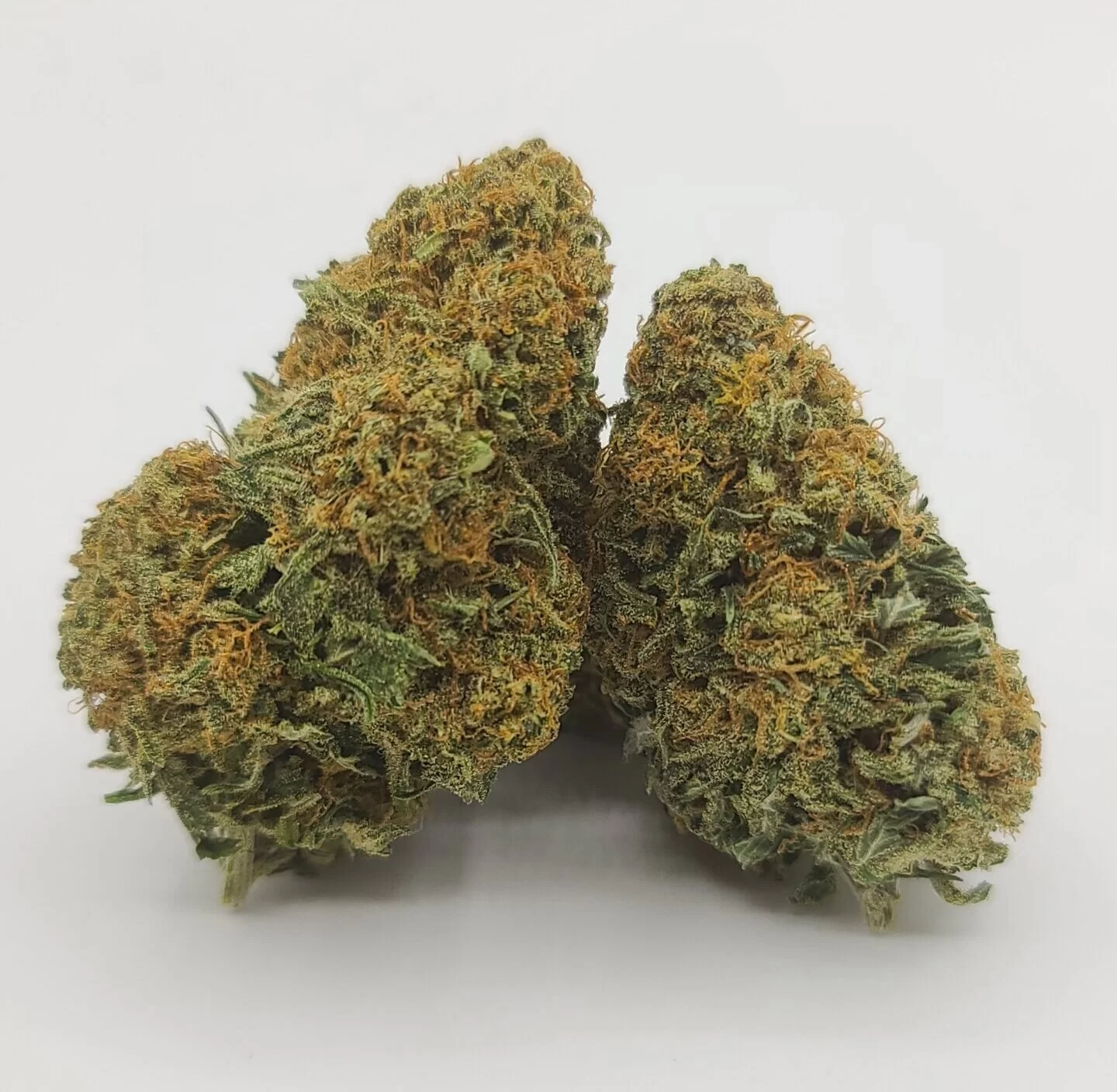 Sky High Exotics