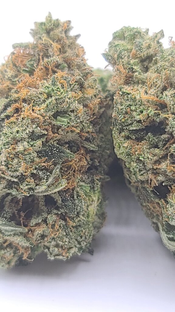 Sky High Exotics