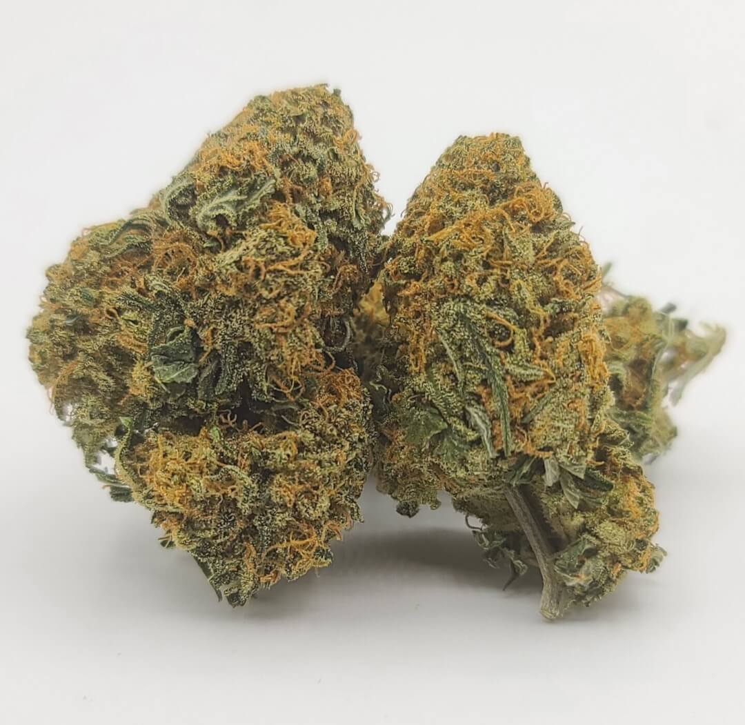 Sky High Exotics