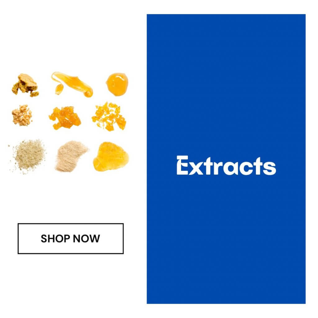 Sky High Exotics