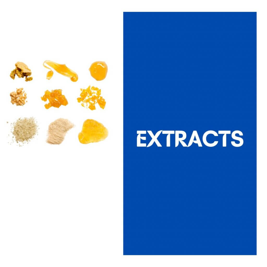 Sky High Exotics