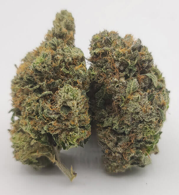 Sky High Exotics