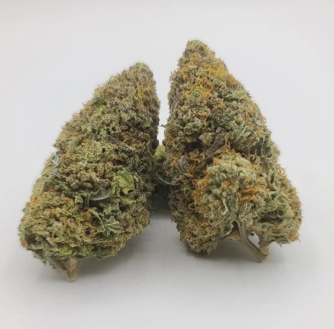 Sky High Exotics