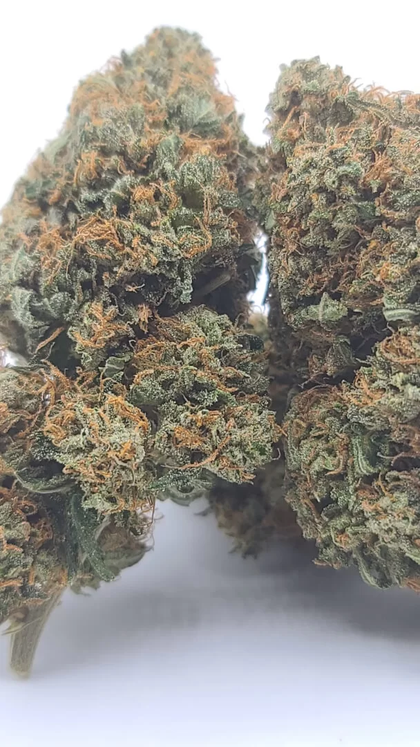 Sky High Exotics