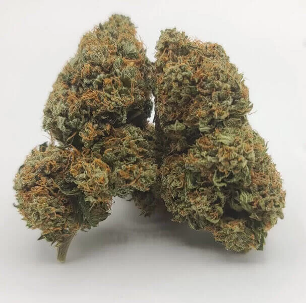 Sky High Exotics