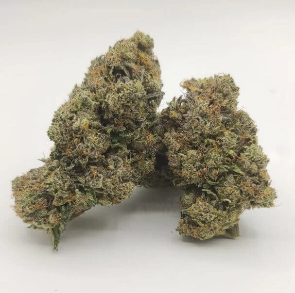 Sky High Exotics