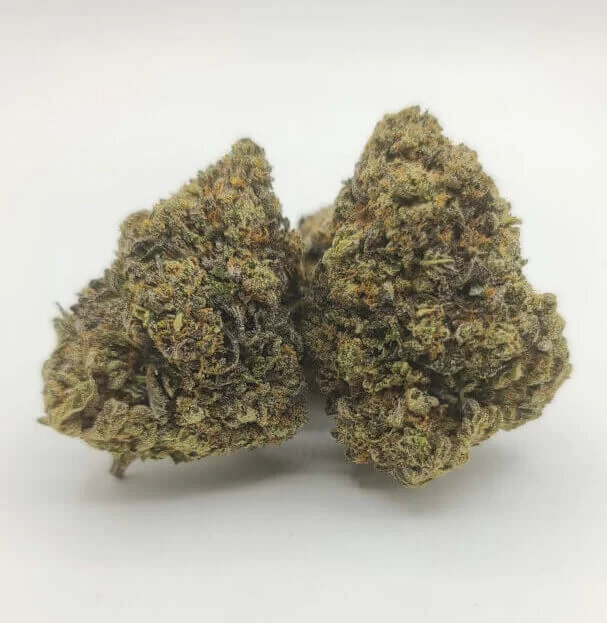 Sky High Exotics