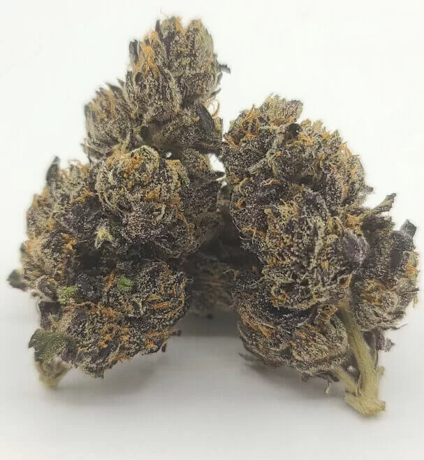 Sky High Exotics