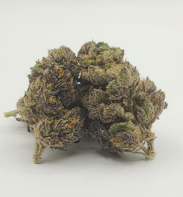Sky High Exotics