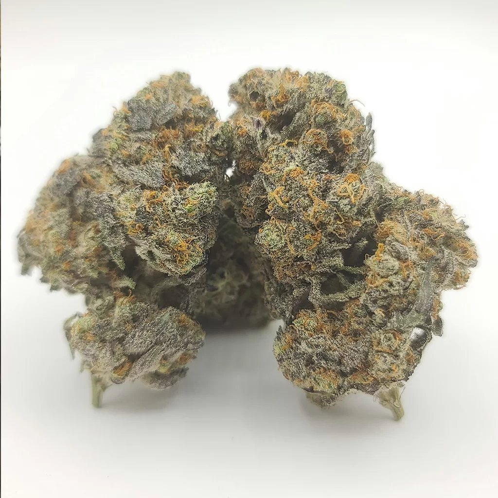Sky High Exotics