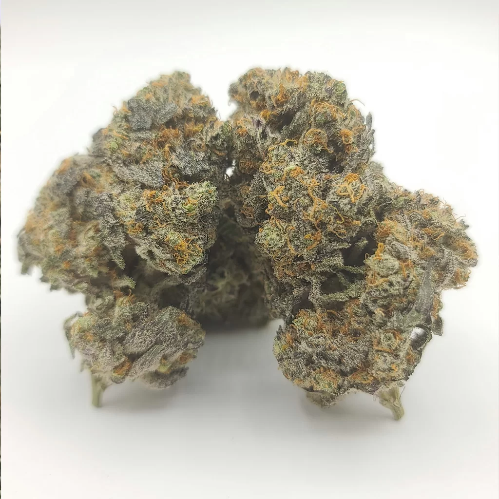 Sky High Exotics