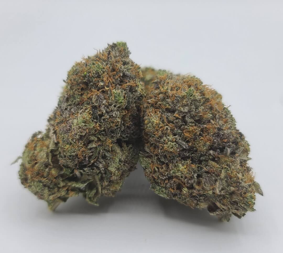 Sky High Exotics