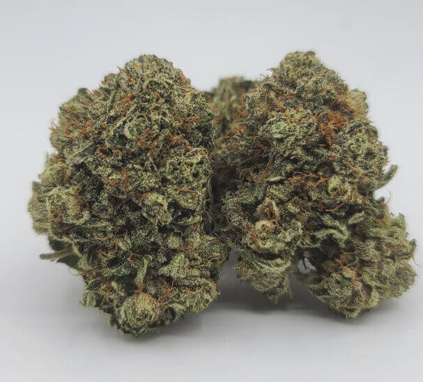Sky High Exotics