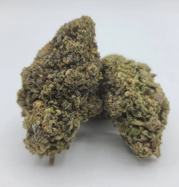 Sky High Exotics