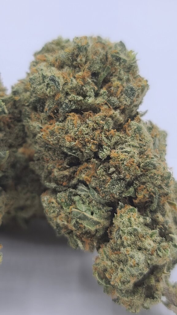 Sky High Exotics